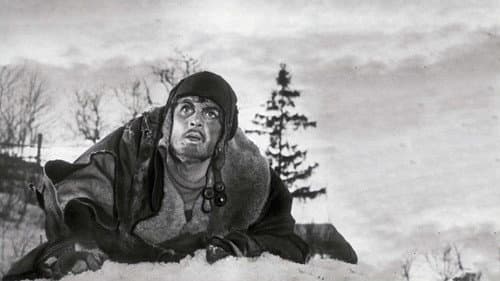 Повесть о настоящем человеке Bild 1