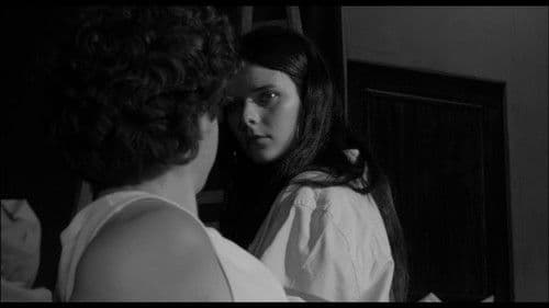 Un gato bajo la lluvia. Bild 1