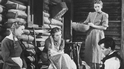 Der junge Mr. Lincoln Bild 6