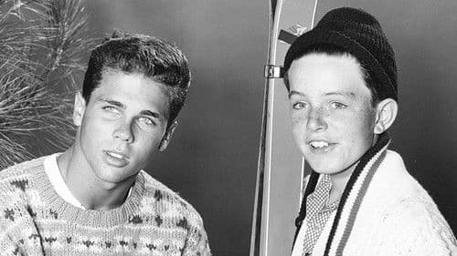 Erwachsen müßte man sein Bild 3