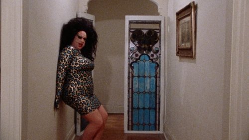 Female Trouble Bild 1