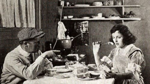 In Folly's Trail Bild 1