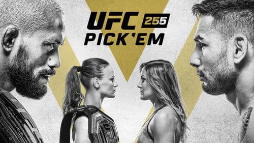 UFC 255: Figueiredo vs. Perez Bild 1