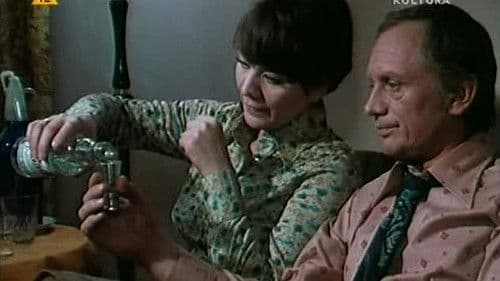 Niedziela pewnego małżeństwa w mieście przemysłowym średniej wielkości Bild 1