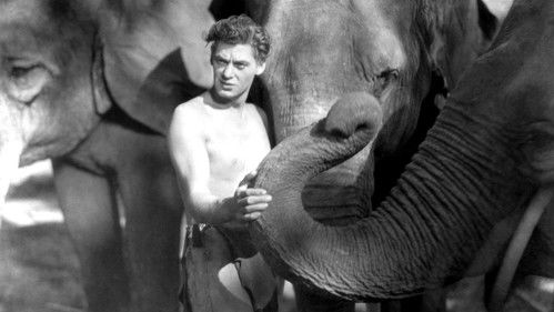 Tarzan, der Affenmensch Bild 3