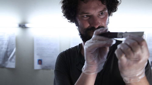 Vermelho Vivo Bild 3