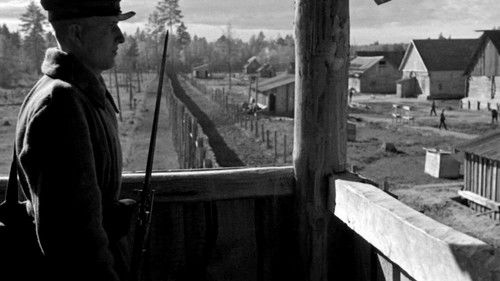 Stalins Henker. Das Massaker von Katyn Bild 4