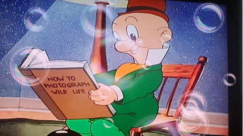 Looney Tunes Spotlight Collection: The Premiere Edition Bild 1