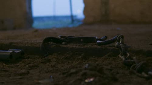 Inner Odyssey Bild 1