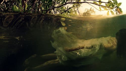 Sins of the South Bild 1