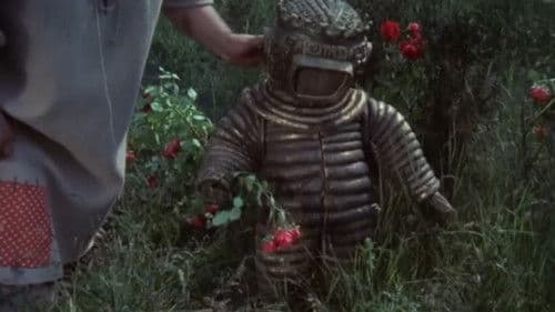 Povestea dragostei Bild 1