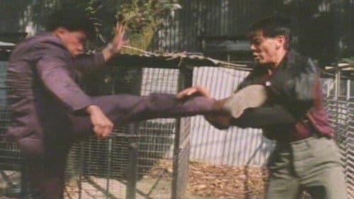 走上不归路 Bild 2