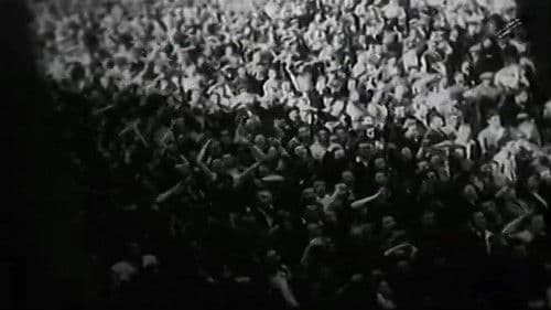 Istina o Puli Bild 1