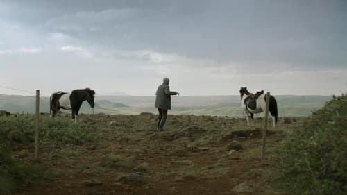 Von Menschen und Pferden Bild 8