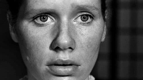 Die Stunde des Wolfs Bild 7