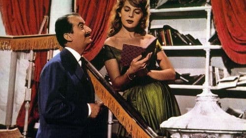 Toto in Madrid Bild 2