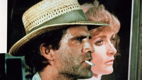 Staubige Dollars Bild 2