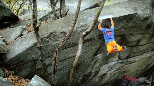 The Swiss Account Bild 1