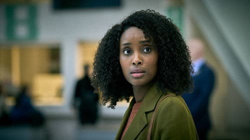 De Toeslagenaffaire Bild 2