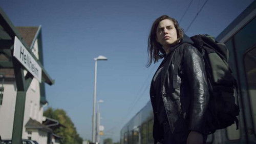 Im Nachtlicht Bild 3