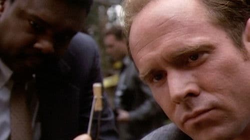 Schreie im Wald Bild 2