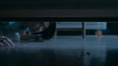 Sehidup Semati Bild 5