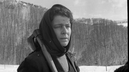 Dimri i fundit Bild 2