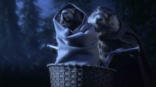 Les Marmottes Bild 2