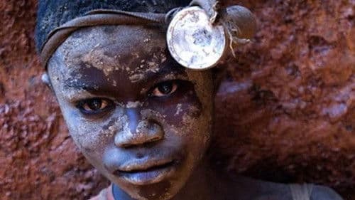 Blood in the Mobile Bild 1