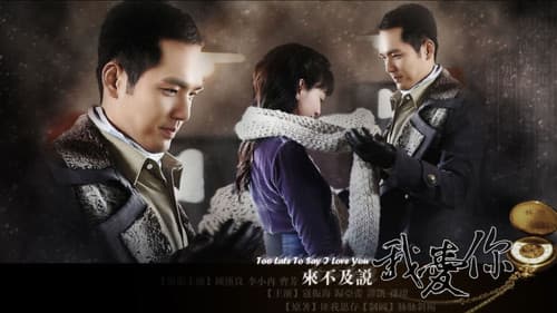 来不及说我爱你 Bild 2