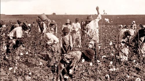 Slavery and the Making of America Bild 3