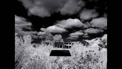 Letter to the Free Bild 1