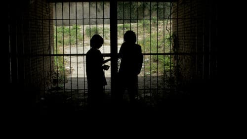 I cormorani - Sommer einer Freundschaft Bild 3