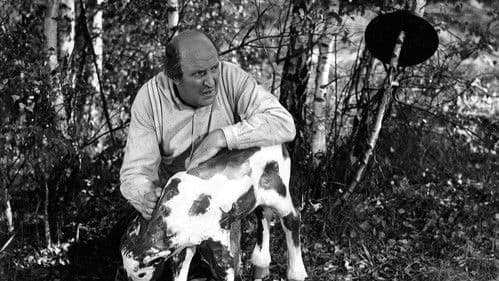 Das hölzerne Kälbchen Bild 1