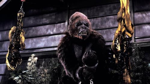 King Kong lebt Bild 5