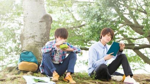 ひだまりが聴こえる Bild 4