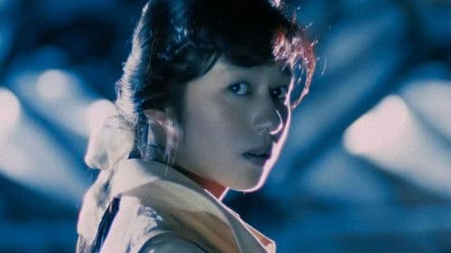 Door II: Tokyo Diary Bild 3