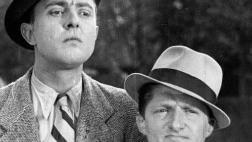 Heiterer Sonntag Bild 1