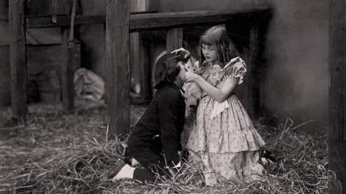 David Copperfield Bild 1