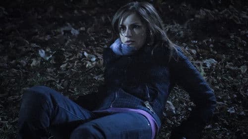 Stealing Paradise Bild 3