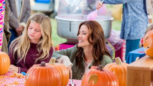 Falling for Vermont Bild 6