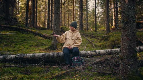 Havumetsän lapset Bild 8