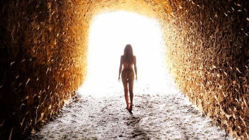 Invisible World Bild 2