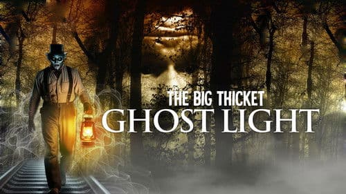 The ghost light of the Big Thicket Bild 1