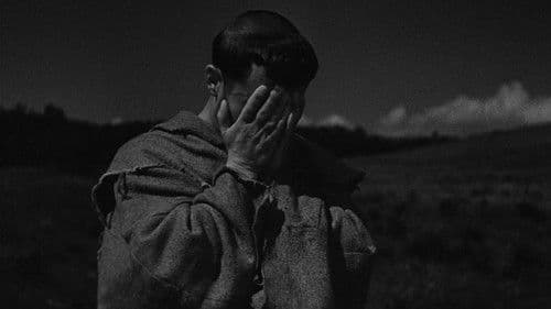 Franziskus, der Gaukler Gottes Bild 8