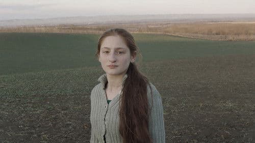 Клетка ищет птицу Bild 1