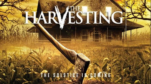 The Harvesting - Die Sonnenwende naht Bild 2
