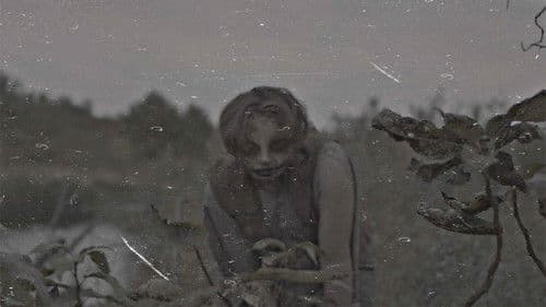 A Dollar Short For The Ferryman's Fee Bild 2