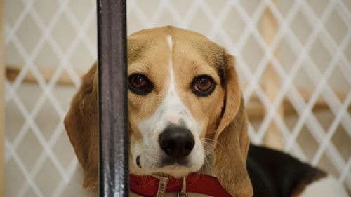 Infiltrada en el búnker Bild 1