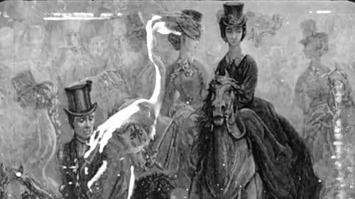 Some Thoughts On The Common Toad Bild 1